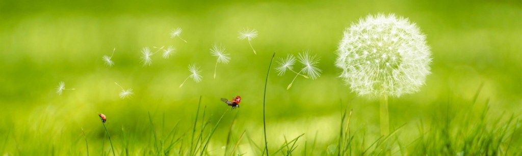 Emotional freedom technique session, EFT sessions in London, UK