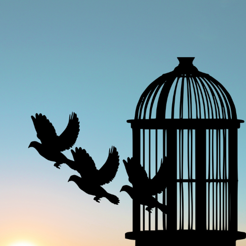 life coaching, coaching in London, UK